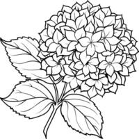 hortensia flor planta contorno ilustración colorante libro página diseño, hortensia flor planta negro y blanco línea Arte dibujo colorante libro paginas para niños y adultos vector