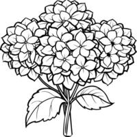 hortensia flor ramo de flores contorno ilustración colorante libro página diseño, hortensia flor ramo de flores negro y blanco línea Arte dibujo colorante libro paginas para niños y adultos vector