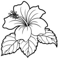 Hibiscus flower plant illustration coloring book page design, Hibiscus Hibiscus flower plant and white line art drawing coloring book pages for children and adults vector