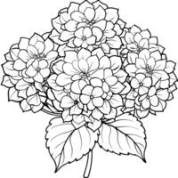 hortensia flor ramo de flores contorno ilustración colorante libro página diseño, hortensia flor ramo de flores negro y blanco línea Arte dibujo colorante libro paginas para niños y adultos vector