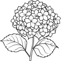 hortensia flor planta contorno ilustración colorante libro página diseño, hortensia flor planta negro y blanco línea Arte dibujo colorante libro paginas para niños y adultos vector