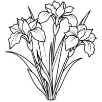 Iris Flower Bouquet outline illustration coloring book page design, Iris Flower Bouquet black and white line art drawing coloring book pages for children and adults vector