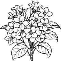 Jasmine Flower Bouquet outline illustration coloring book page design, Jasmine Flower Bouquet black and white line art drawing coloring book pages for children and adults vector