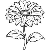 Gerbera flower plant outline illustration coloring book page design, Gerbera flower plant black and white line art drawing coloring book pages for children and adults vector