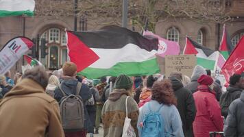 Manchester, Reino Unido, marcha 23, 2024 - demonstração honra a crianças do gaza às st. de Pedro quadrado video