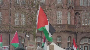 Manchester, Reino Unido, marcha 23, 2024 - demonstração honra a crianças do gaza às st. de Pedro quadrado video