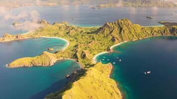 langzaam beweging komodo eiland Indonesië video