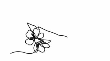 soi dessin animation avec un continu ligne dessiner, abstrait Cerise fleur arbre branche video