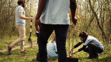 grupp av volontärer plantering ny plantor runt om de skog område, grävning upp hål och montera träd frön för natur bevarande och skydd. mor och liten flicka ta handling. kamera b. video