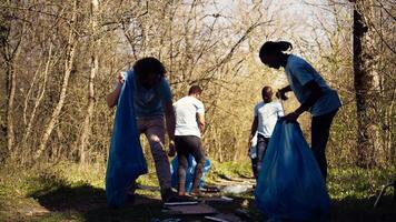 Team of volunteers collecting rubbish to fix pollution problem within the habitat, protect the natural environment. Activists doing voluntary work to clean the woods from trash. Camera B. video