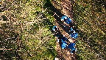 Drone shot of activists team cleaning and recycling garbage in a forest, working on clearing up the woods area for environmental protection. People with ecologic preservation values. video