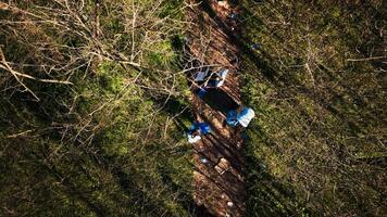 aereo Visualizza di attivisti unendo forze per riciclare e ordinato su spazzatura nel un' foresta nel ordine per salvaguardia il ecosistema. individui avendo ecologico conservazione i principi, eco amichevole. video