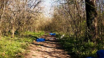 Drönare skott av tömma skog landskap fylld med skräp och plast avfall, skog förorening och olaglig dumpning. regnskog med vandring spår har en massa av skräp och sopor i de bakgrund. video