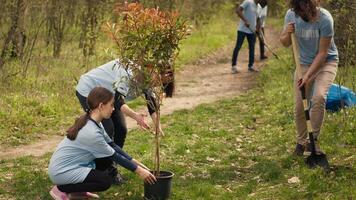 team av volontärer växande de naturlig livsmiljö i en skog, plantering träd och bevara natur förbi tar verkan och stridande till spara de planet. aktivister håller på med gemenskap service. kamera a. video