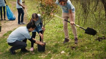 team av volontärer plantering träd runt om skog område för natur bevarande och skydd, håller på med frivillig arbete för en bevarande projekt. klimat förändra aktivister växt plantor. kamera a. video