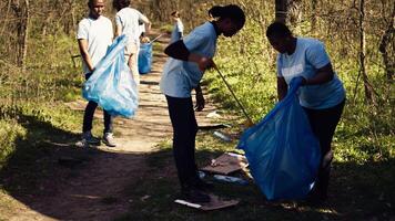 milieu activisten verzamelen onzin en plastic verspilling in vuilnis tas, gebruik makend van kleiner schoonmaken gereedschap naar plukken omhoog uitschot van de Woud. Dames aan het doen vrijwillig werk naar beschermen ecosysteem. camera b. video