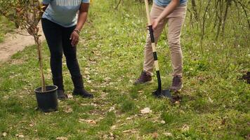 diverso voluntarios equipo excavación agujeros a planta arboles en el bosque, trabajando juntos en unidad a proteger el ambiente y preservar natural bosque hábitat. activistas conservar ecosistema. cámara una. video