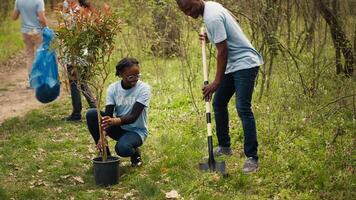 equipo de activistas plantando arboles a conservar natural ecosistema y bosque ambiente, excavación agujeros después coleccionar basura. voluntarios tomando acción y conservación el bosque hábitat. cámara una. video