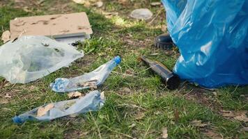 Freiwillige mit Zange Werkzeug zu sammeln Müll und Plastik Abfall von das Wald, Speicherung Müll im ein Müll Tasche und sauber das natürlich Umfeld. Aktivist greifen Wurf. schließen hoch. Kamera a. video