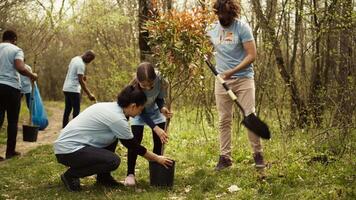 equipe do voluntários plantio árvores por aí floresta área para natureza preservação e proteção, fazendo voluntário trabalhos para uma conservação projeto. clima mudança ativistas plantar mudas. Câmera b. video