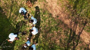 dar schot van vrijwilligers groep aanplant bomen en bewaren natuur, groeit zaailingen samen en schoonmaak de omgeving. ecologisch activisten tuinieren, leefgebied teelt. camera a. video