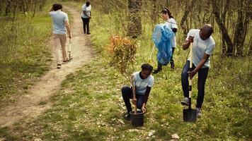 afrikanisch amerikanisch Freiwillige Mannschaft graben Löcher und Pflanzen Bäume im ein Wald, tun Wurf Aufräumen und Putten Sämlinge im das Boden zum Natur Anbau Konzept. Erhaltung Projekt. Kamera b. video