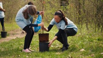 Mother and daughter team up to plant new trees in the woods, protecting the natural habitat and ecosystem. Family of activists fighting nature conservation, digging holes for seedlings. Camera A. video