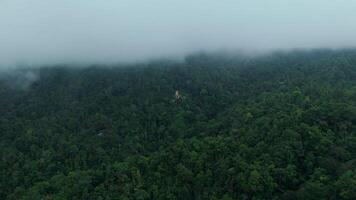 giant statue located in the forest fog bali drone video