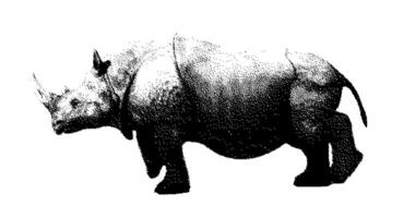 Stipple drawing of rhino. 2d Animation motion graphics. Seamless looping animation. video