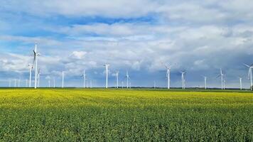 A wind farm with many windmills behind a yellow oilseed field in the sunshine. video