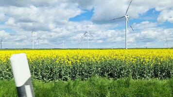 visie van de kant venster van een in beweging auto van een groot wind boerderij Aan weiden. video