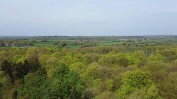 drone vue de une vert à feuilles caduques forêt dans une nord européen paysage. video