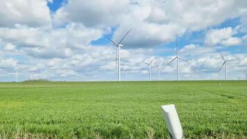 Aussicht von das Seite Fenster von ein ziehen um Auto von ein groß Wind Bauernhof auf Wiesen. video