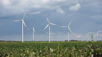 un viento granja con muchos molinos de viento detrás un amarillo semillas oleaginosas campo en el luz solar. video