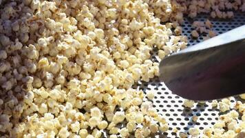 färsk popcorn, tillverkad i ett industriell popcorn maskin. video