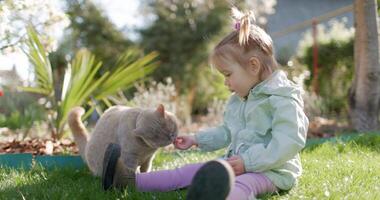 linda niño niña sentado en césped y alimentación gatos en primavera patio interior jardín video