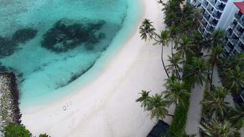 aéreo ver de maafushi isla en kaafu atolón. paraíso isla con claro Oceano agua y paraíso línea costera, Maldivas video