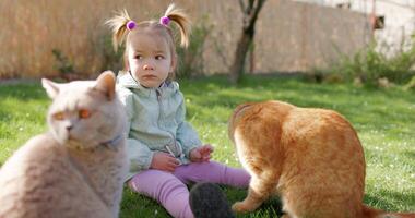 carino bambino ragazza seduta su prato e sua gatti nel primavera Giardino dietro la casa giardino video