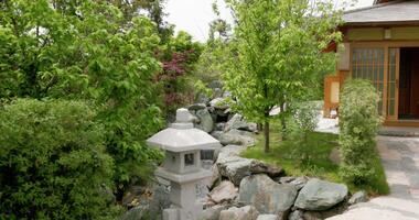 Japanese garden in Krasnodar park. Traditional asian park video