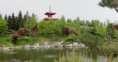 Japanese garden in Krasnodar Galitsky park. Traditional asian park with pond video