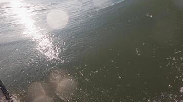 surfer su tavola da surf equitazione su un' oceano onda. la prima persona Visualizza di fare surf nel oceano video