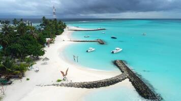 fulidhoo eiland met tropisch strand met palm bomen en blauw oceaan. antenne visie van paradijs vakantie eiland video