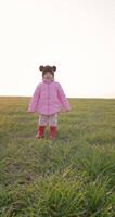 poco bambino ragazza a piedi nel il campo a tramonto video