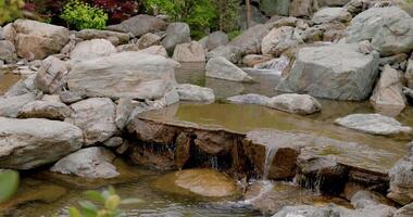 río con rocas en japonés jardín en krasnodar. tradicional asiático parque video