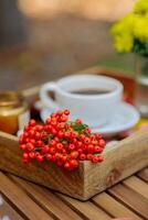 Rowan on a hot drink tray with fall decor. selective focus photo