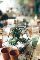 Glass geometric florarium, terrarium, with succulent, sand, pebbles. Metal handmade vase planter for home decor and table decoration photo