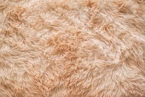 Background picture of a soft fur beige carpet. wool sheep fleece texture background. top view photo
