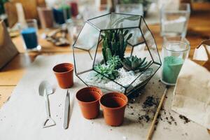 Florist arrangement succulents natural plants into glass florarium on stones decor close up. creating botany art composition with house plants vegetation at workshop photo