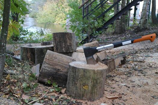 a pile of firewood chopped with an ax ax cleaver in a log photo