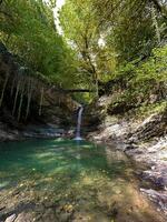 tranquilo cascada y claro estanque en un lozano verde bosque con luz de sol filtración mediante hojas foto